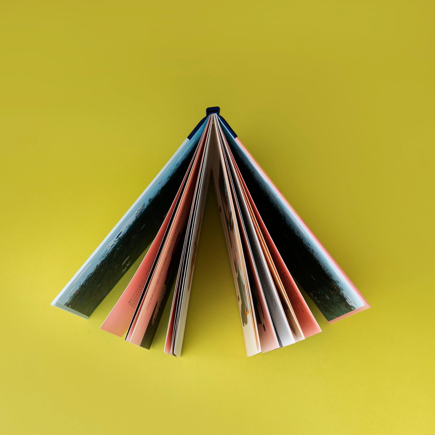 Книга «Марк Шагал» Марианна Суховей, Надя Перцова ( твердый переплёт )