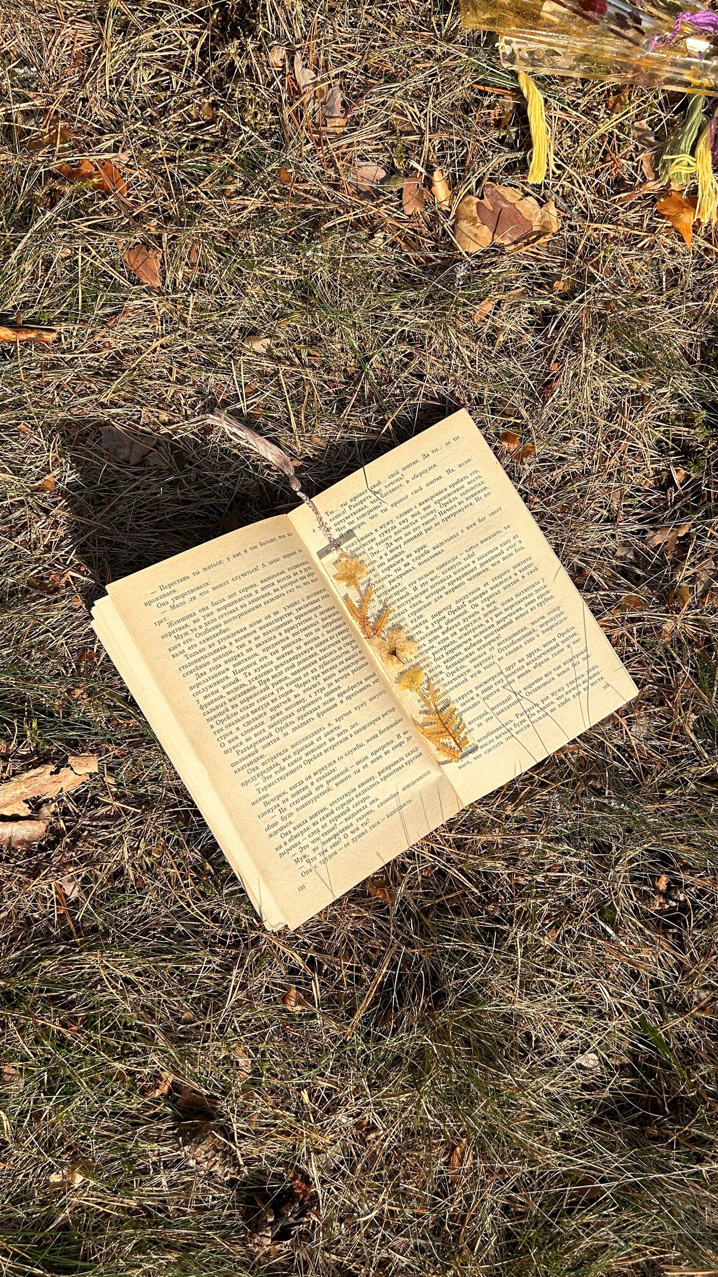 Закладки для книг в Польше и Европе